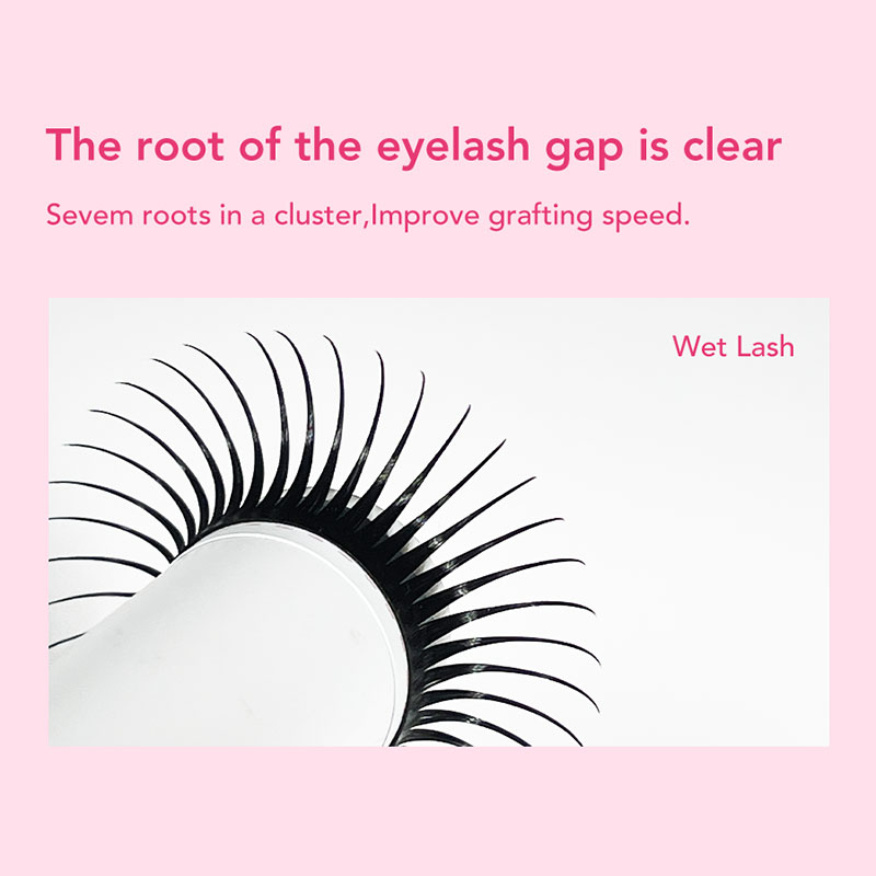 DIYDAY 5D Fairy Eyelash Extens - огляд і ціна Eyelash Extension Wet Look